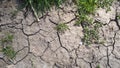 Drought, the ground cracks, no hot water, lack of moisture. Dried and Cracked ground, Royalty Free Stock Photo