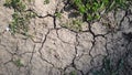 Drought, the ground cracks, no hot water, lack of moisture. Dried and Cracked ground Royalty Free Stock Photo