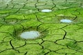 Drought, cracked earth, water, nature Royalty Free Stock Photo