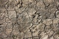 Drought land Royalty Free Stock Photo