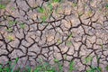 Drought land. Barren earth. Dry cracked earth background. Cracked mud pattern. Royalty Free Stock Photo