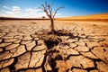 Drought land with isolated died tree, dry soil ground desert area with cracked mud arid landscape. Shortage of water, climate Royalty Free Stock Photo