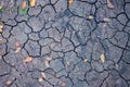 Drought land top view photo. Dry soil with crack net and fallen yellow leaves. Arid land texture. Black cracked surface Royalty Free Stock Photo