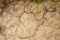 Drought and no rainfall concept. Global warming. Cracked earth background. Top view Royalty Free Stock Photo