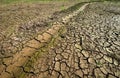 drought parched ground. Royalty Free Stock Photo