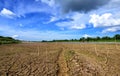 Drought parched ground. Royalty Free Stock Photo