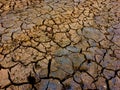 Drought Royalty Free Stock Photo