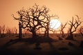 Drought, the problem of the future of the planet, water scarcity, heat, global warming. Effects of climate change such