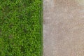 Drought at rice field and palms background. Bali, Indoneia Royalty Free Stock Photo