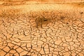 Drought soil in dry river Royalty Free Stock Photo