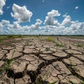 Drought-stricken Amazon landscape with cracked earth and sparse water reflecting climate change impact Royalty Free Stock Photo