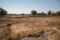 a drought-stricken farm, with withered crops and dried up pond