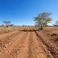 A drought-stricken field