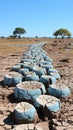 A drought-stricken field