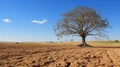 A drought-stricken field Royalty Free Stock Photo