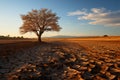 Drought stricken soil bears lone tree, portraying climate changes water shortage impact Royalty Free Stock Photo