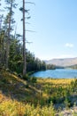 Drought stricken Sylvan Lake on Sylvan Pass on the highway to the east entrance of Yellowstone National Park in Wyoming US of A Royalty Free Stock Photo