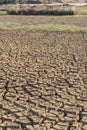 Drought Strikes Lake Ellesmere , New Zealand.