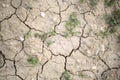 Drought theme photo. Cracked soil.