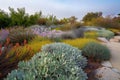 Drought tolerant landscape