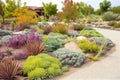 Drought tolerant landscape