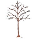 Drought tree cartoon illustration