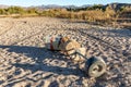 Drought Water Level in Lake Mead National Recreation Area Royalty Free Stock Photo