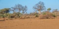 Drought and weather conditions in the northern Kruger National Park