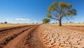 Droughts metaphorical impact lifeless trees on cracked earth, urging action against climate change