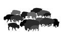 Drove of Bison vector silhouette illustration isolated on white background. Herd of Buffalo, symbol of America. Royalty Free Stock Photo