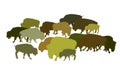 Drove of Bison vector silhouette illustration isolated on white background. Herd of Buffalo, symbol of America. Strong animal.