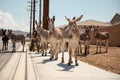 Drove of donkeys on the street against rural houses on a sunny day Royalty Free Stock Photo