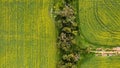 view over yellowing, flowering Canola fields with tracks running thru and bordered by native Australian trees, Victoria