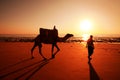 The Drover with a camel at sunset in the desert