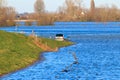 Drowned fore-lands and roads near Zutphen, the Netherlands