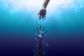 A helpless drowning hand. Royalty Free Stock Photo