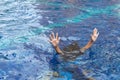 The drowning hands stretched out over the surface for help. Royalty Free Stock Photo