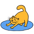 Drowsy cute orange cat does morning exercises on rug. Vector illustration