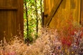 DRT FLOWERS IN AUTUMN SEASON AT FRONT OF VINTAGE HOUSE DOOR