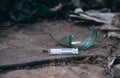 Old abandoned house and used plastic syringes. The problem of drug addiction in society