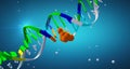 Drug In Covalent Complex With A DNA Strand Causing Mutation, Structural Distortion