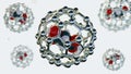 Drug molecules inside of fullerene