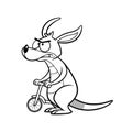 Drugged Kangaroo on Cycling Journey Royalty Free Stock Photo