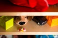 Drugs on the background of blurry children`s toys