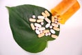 Drugs herbal pills natural medicine on a green leaf Royalty Free Stock Photo