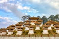 Druk Wangyal Chortens