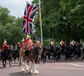 Drum horse with rider, with Household Cavalry behind, taking part in the Trooping the Colour military ceremony, London UK Royalty Free Stock Photo