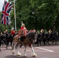 Drum horse with rider, with Household Cavalry behind, taking part in the Trooping the Colour military ceremony, London UK