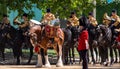 Drum horse at the Trooping the Colour, annual military parade in London, UK.