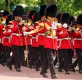 Drum Major & Military Musicians